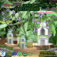 tinh-dau-co-roi-ngua-lippia-origanoides-essential-oil-1-lit - ảnh nhỏ  1