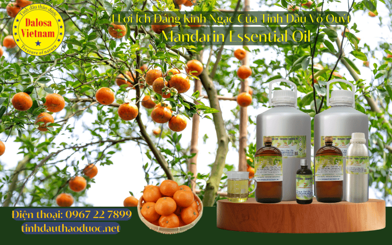 13-loi-ich-cho-suc-khoe-cua-tinh-dau-vo-quyt-mandarin-essential-oil_2