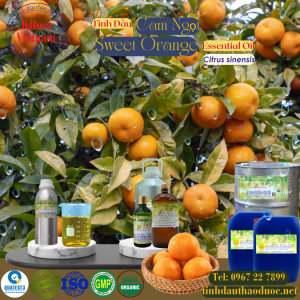 Tinh Dầu Cam Ngọt  - Orange Essential Oil 1 lít