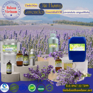 Tinh Dầu Oải Hương - Lavender Essential Oil 1 lít