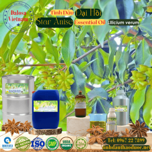 Tinh Dầu Hồi - Star Anise Essential Oil 1 lít