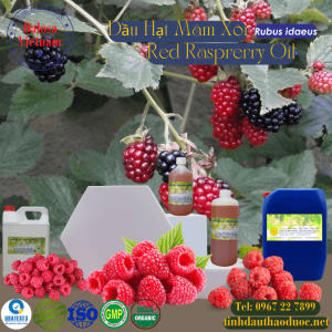 Dầu Hạt Mâm Xôi Red Raspberry 1 lít
