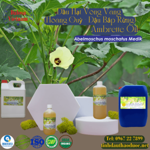 Dầu Hạt Vong Vang - Hoàng Quỳ - Ambrette1 Lít