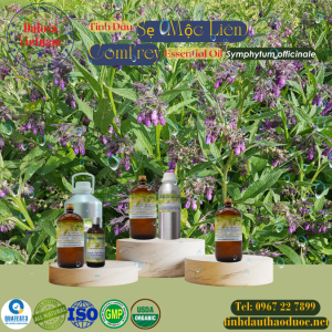 Tinh Dầu Sẹ (Mộc Liên) - Comfrey Essential Oil 1 Lít