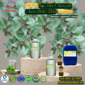Tinh Dầu Bạc Hà Chocolate Oil  Lít