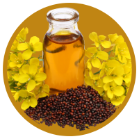 14 Lợi Ích Tuyệt Vời Của Tinh Dầu Mù Tạt - Mustard