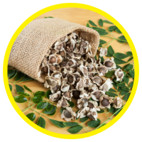 11 Lợi Ích Tuyệt Vời Của Dầu Chùm Ngây - Moringa