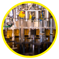 Đặc Tính Trị Liệu Của Tinh Dầu Theo Nhóm Chức Năng