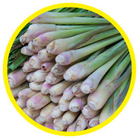 16 Công Dụng Mới Nhất Của Tinh Dầu Sả Chanh 2020