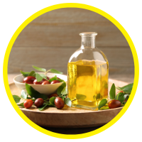 Chức Năng Công Dụng Và Chất Lượng Dầu Của Nền Thực Vật Carrier Oil