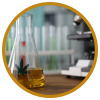 Phân Biệt Tinh Dầu Và Dầu Nền Thiên Nhiên ?