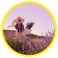 Tại sao Tinh Dầu Thường Được Mệnh Danh Là Báu vật của thiên nhiên?